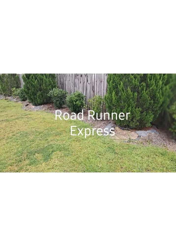 Reliable yard cleanup service in Farmville, NC by Road Runner Express