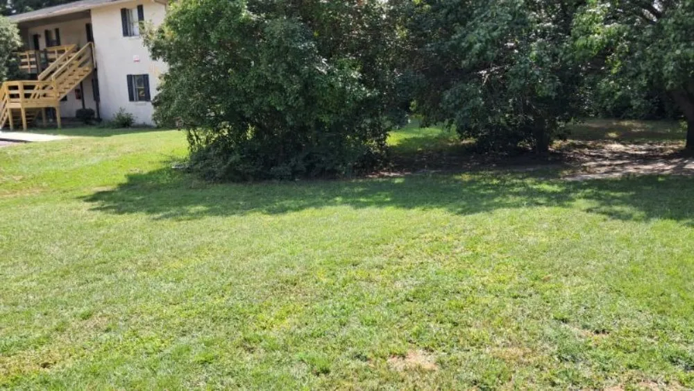 Local landscape installation experts serving Farmville, NC - Road Runner Express