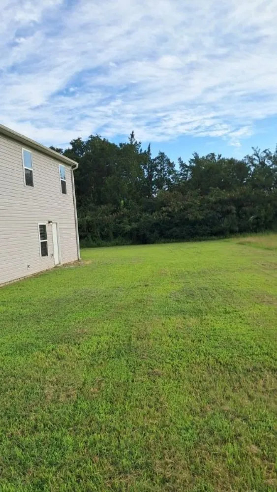 Expert landscaping services in Farmville, NC by Road Runner Express