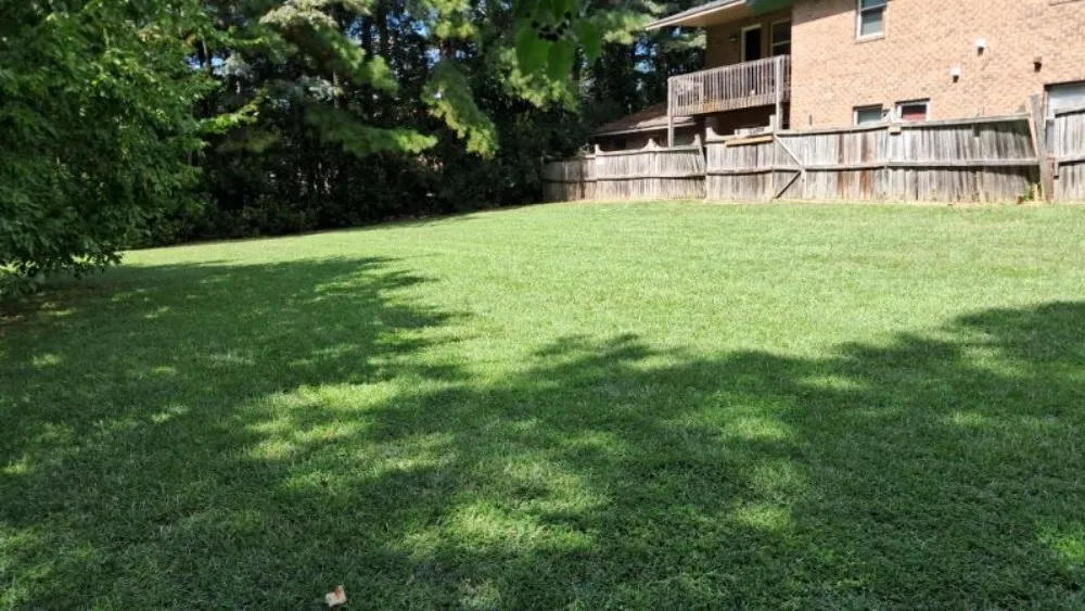 Trusted yard maintenance in Farmville, NC - Road Runner Express