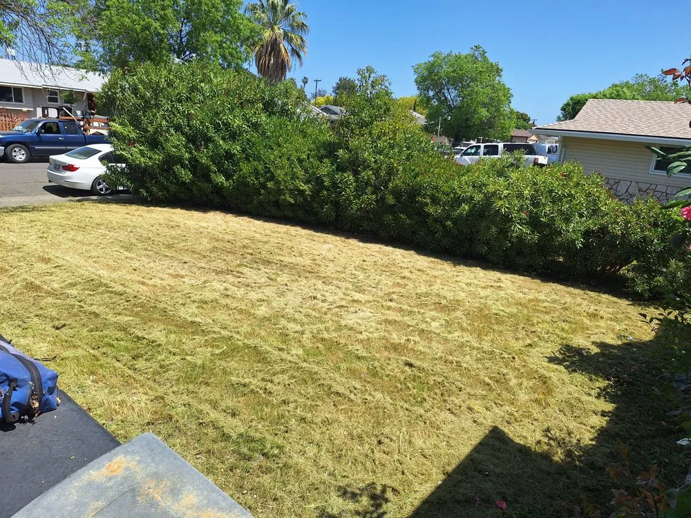 Affordable lawn mowing service experts serving Sacramento, CA - Road Runnerz Lawn And Hauling Services