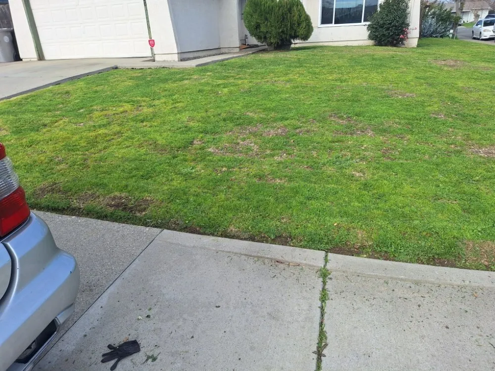 Affordable landscape installation in Sacramento, CA by Road Runnerz Lawn And Hauling Services