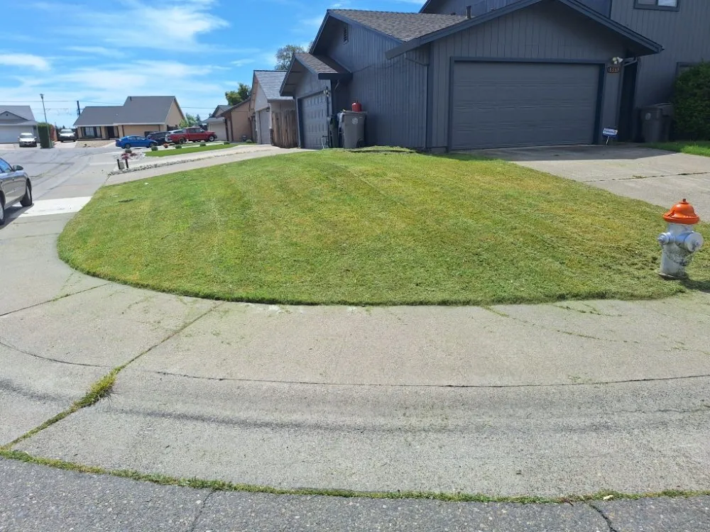 Expert landscaping services in Sacramento, CA - Road Runnerz Lawn And Hauling Services