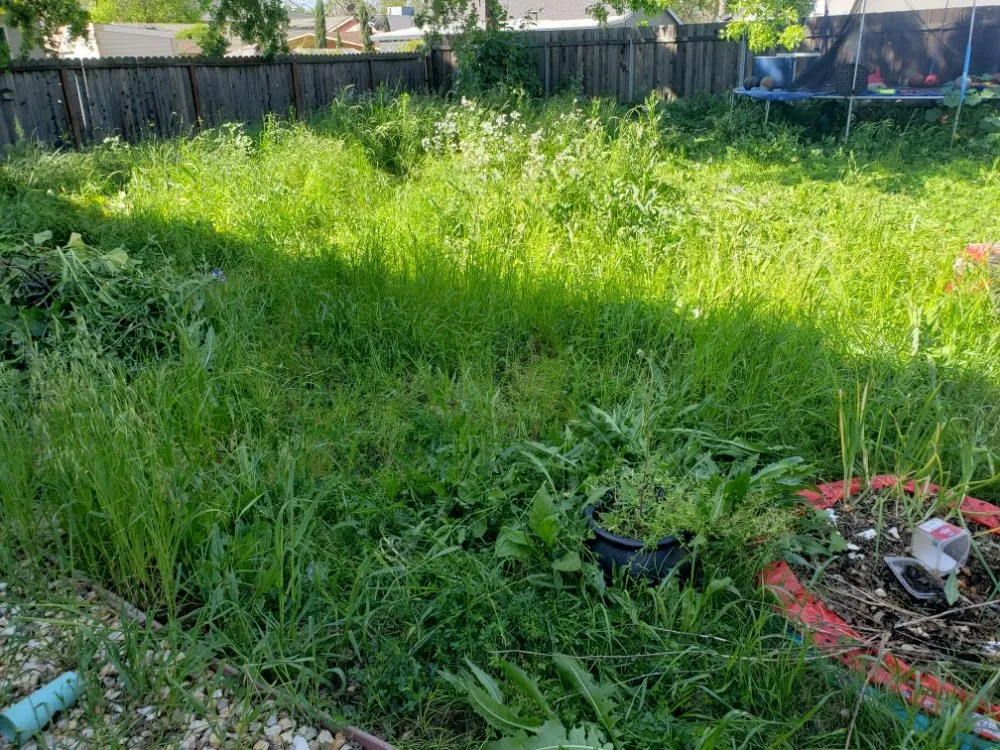 Local lawn care service for residential properties in Sacramento, CA by Road Runnerz Lawn And Hauling Services