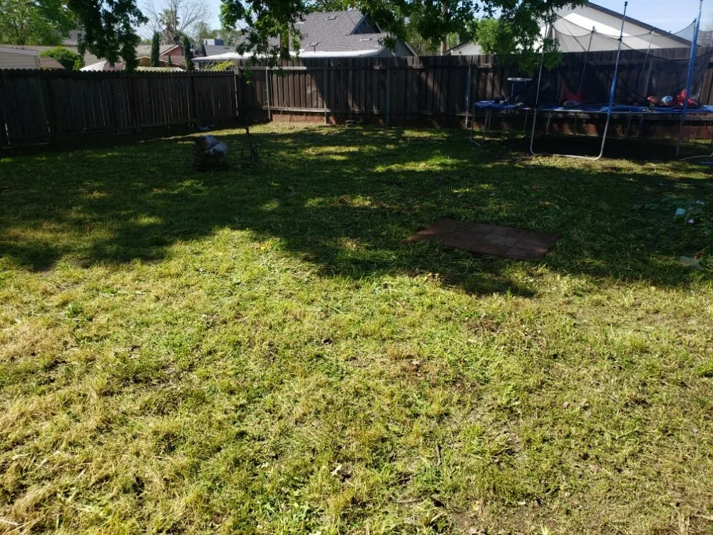 Expert garden landscaping experts serving Sacramento, CA - Road Runnerz Lawn And Hauling Services