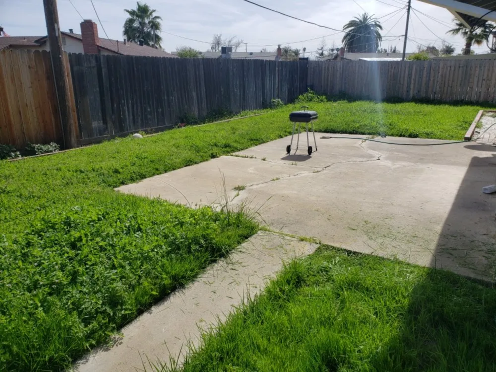 Top-rated yard maintenance in Sacramento, CA - Road Runnerz Lawn And Hauling Services