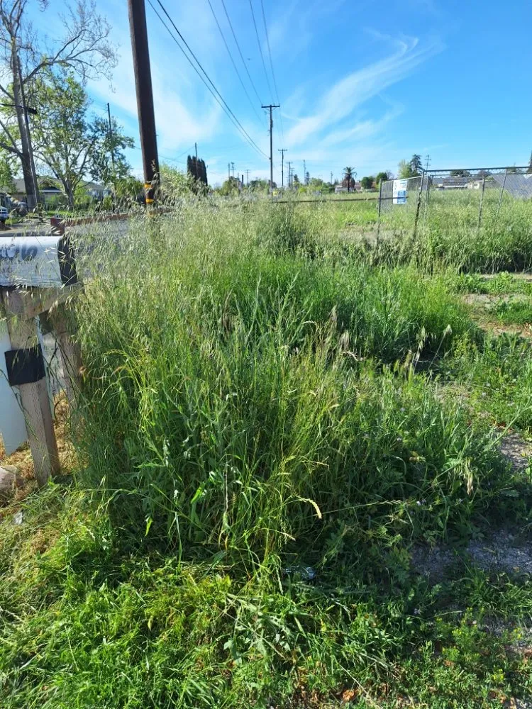 Top-rated garden landscaping in Sacramento, CA by Road Runnerz Lawn And Hauling Services