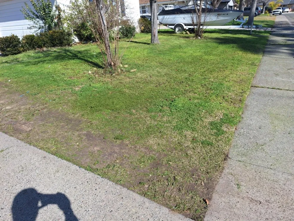 Expert outdoor landscaping experts serving Sacramento, CA - Road Runnerz Lawn And Hauling Services