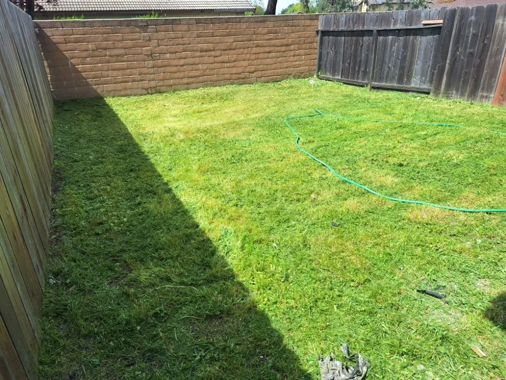 Custom outdoor landscaping for year-round maintenance in Sacramento, CA by Road Runnerz Lawn And Hauling Services