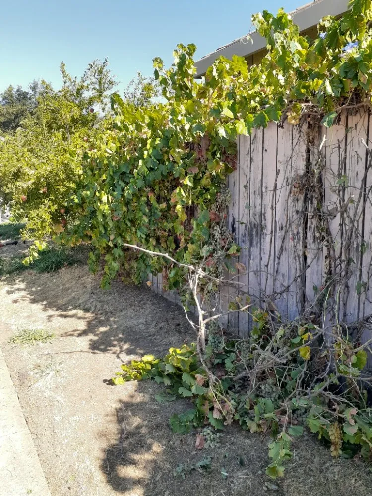 Expert landscape design for residential properties across Sacramento, CA - Road Runnerz Lawn And Hauling Services