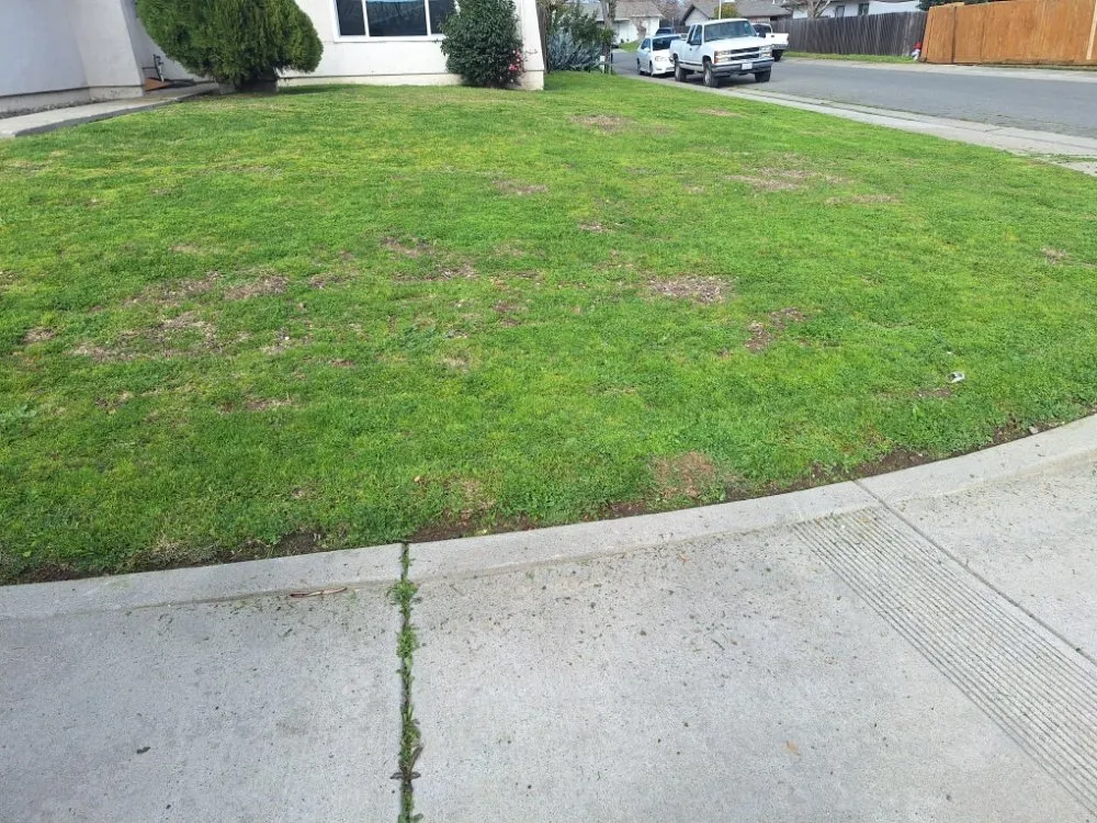 Top-rated garden landscaping for residential properties in Sacramento, CA by Road Runnerz Lawn And Hauling Services