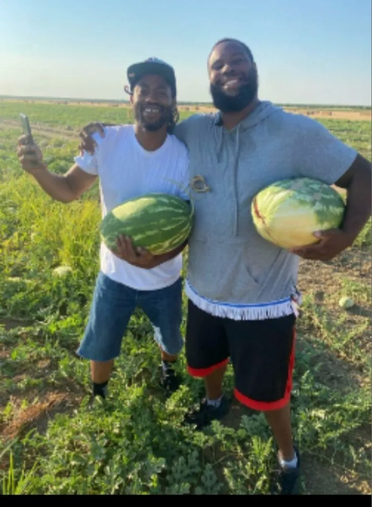 Trusted outdoor landscaping experts serving Sacramento, CA - Road Runnerz Lawn And Hauling Services