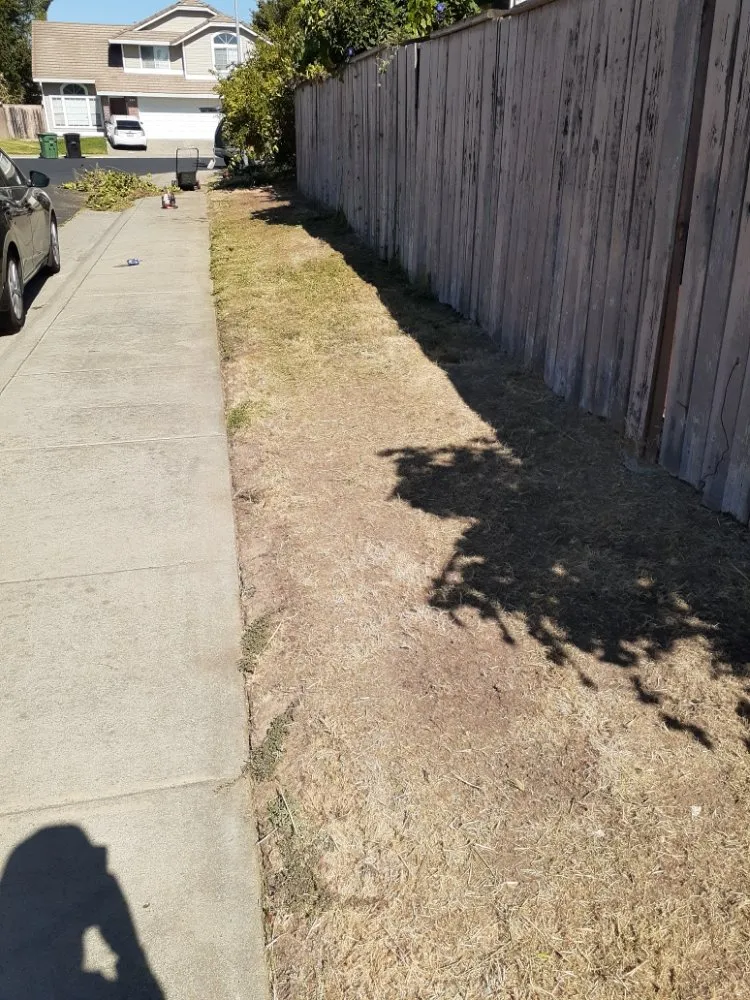 Expert lawn mowing service in Sacramento, CA by Road Runnerz Lawn And Hauling Services