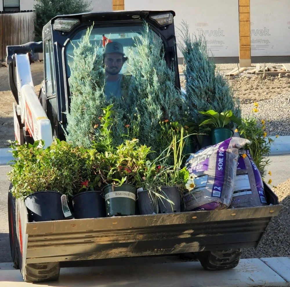 Affordable residential landscaping in Fruita, CO by Roadkill Lawncare and Landscaping