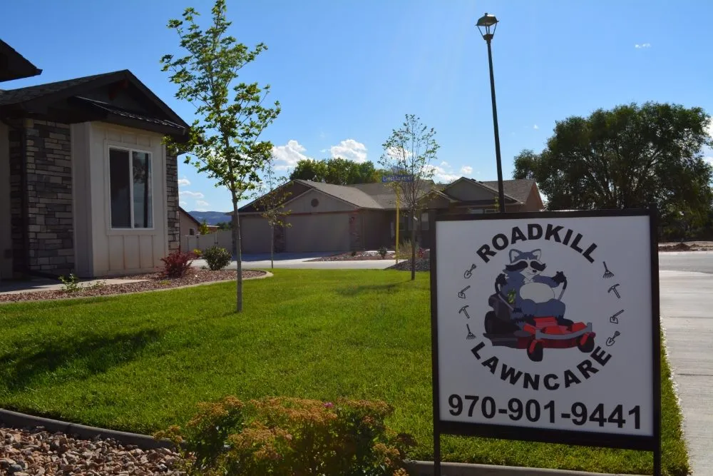 Professional yard cleanup service in Fruita, CO by Roadkill Lawncare and Landscaping