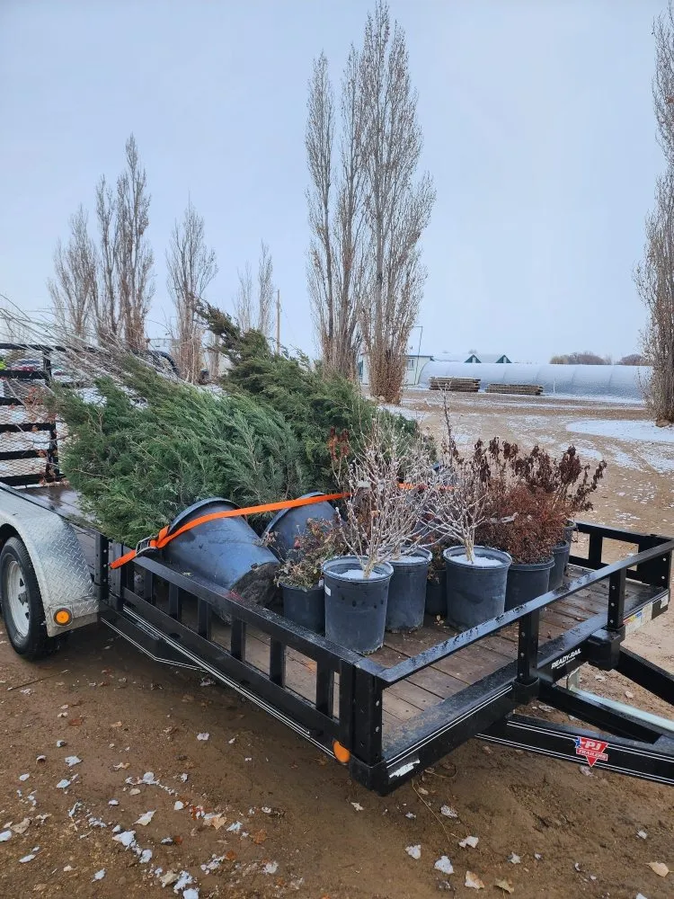 Affordable residential landscaping in Fruita, CO - Roadkill Lawncare and Landscaping