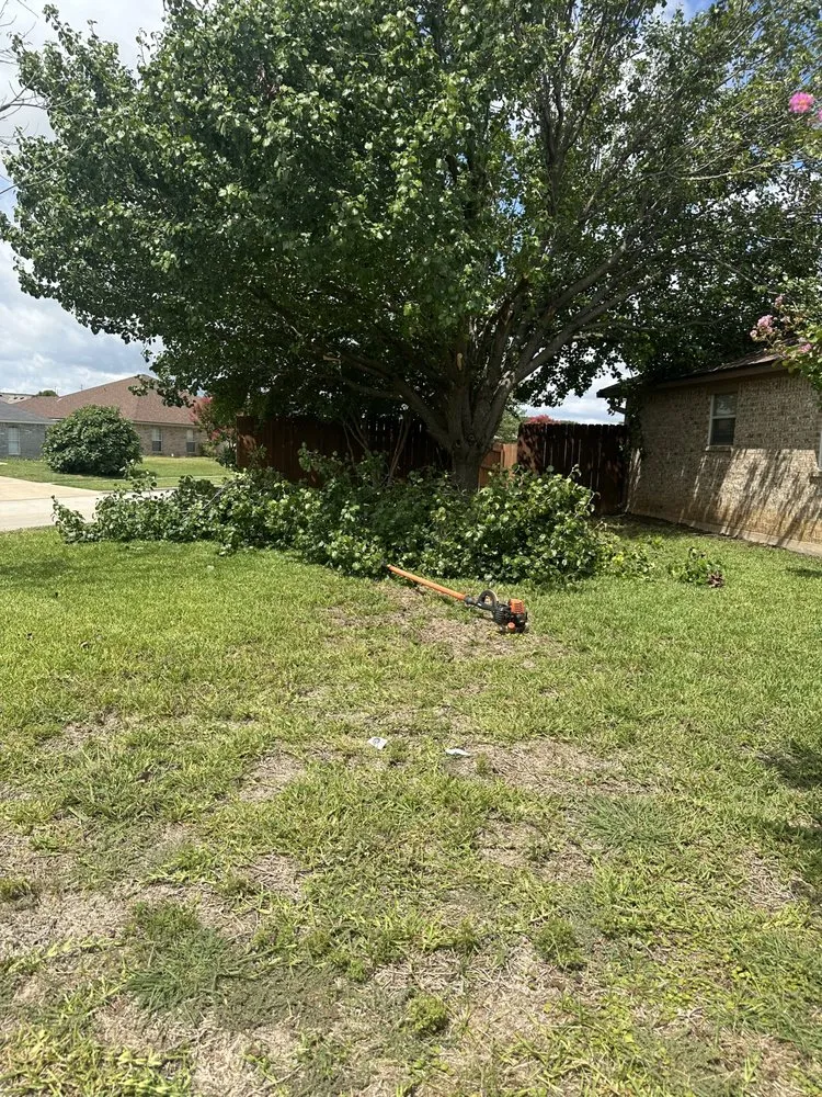 Affordable landscape design in Killeen, TX by Roadrunner Landscaping & Contruction