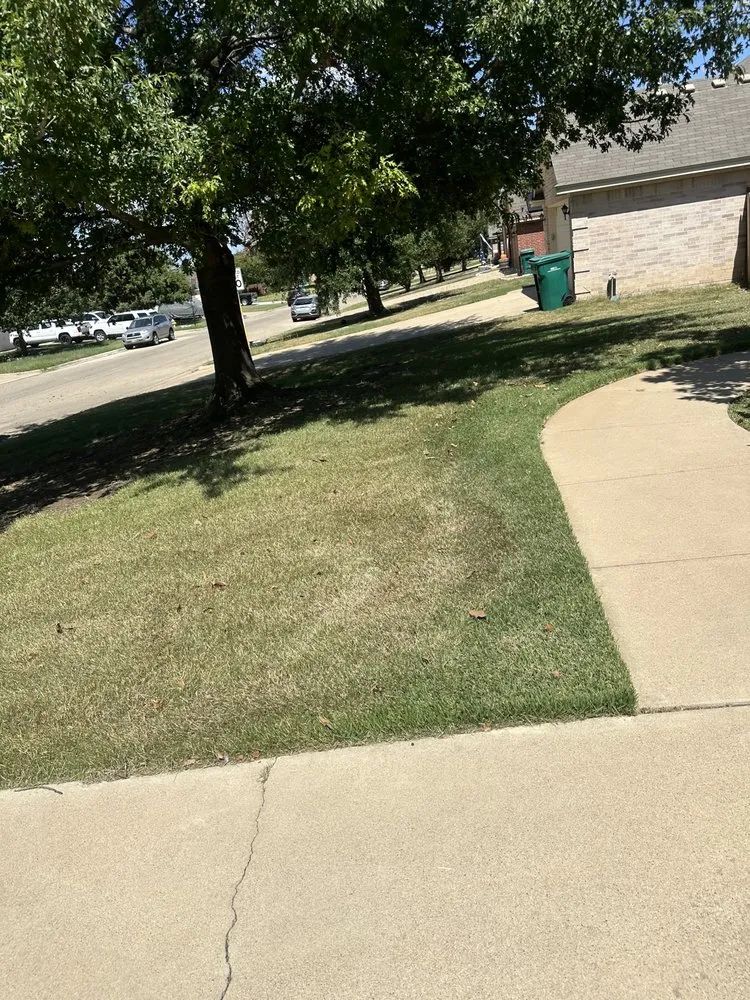 Trusted landscape design experts serving Killeen, TX - Roadrunner Landscaping & Contruction