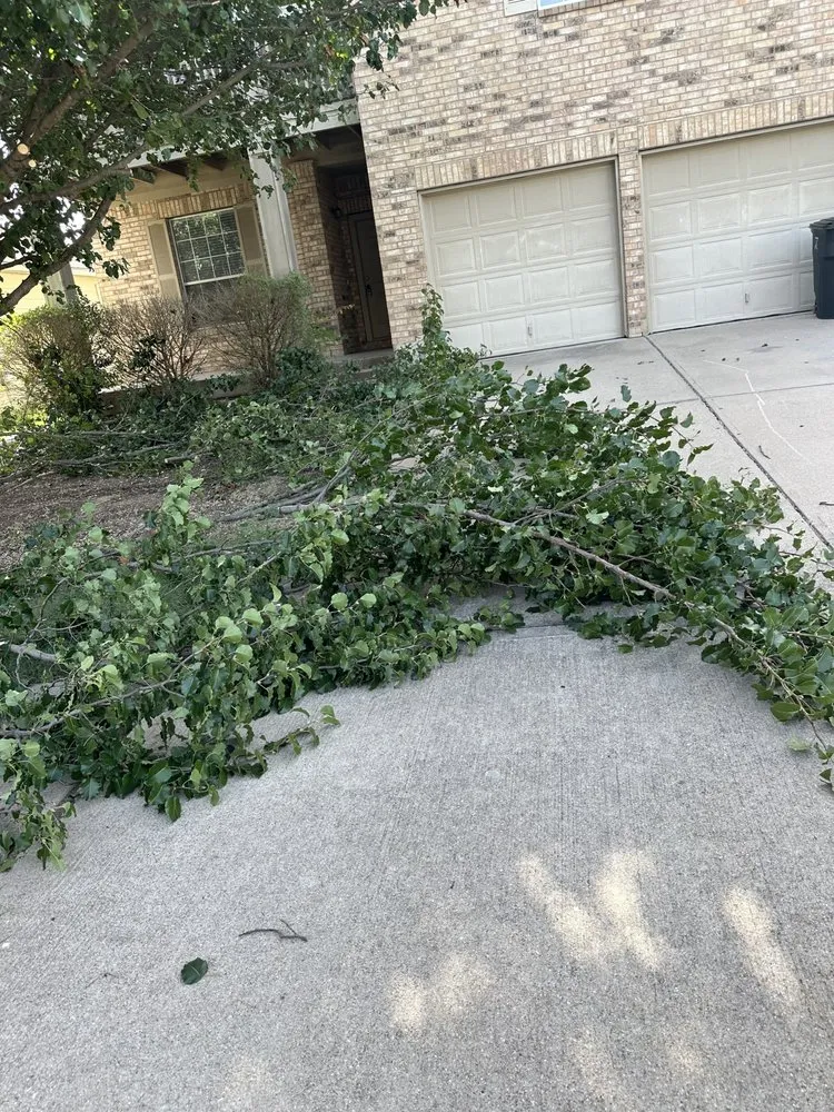 Custom landscape design experts serving Killeen, TX - Roadrunner Landscaping & Contruction