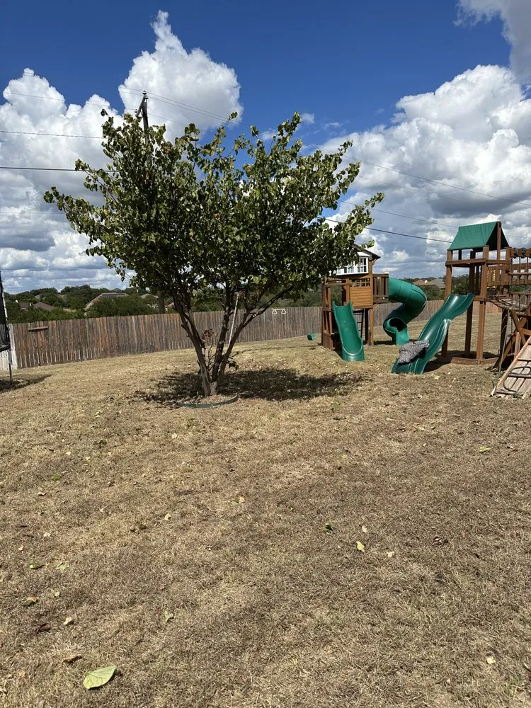 Expert yard maintenance for beautiful yards in Killeen, TX by Roadrunner Landscaping & Contruction