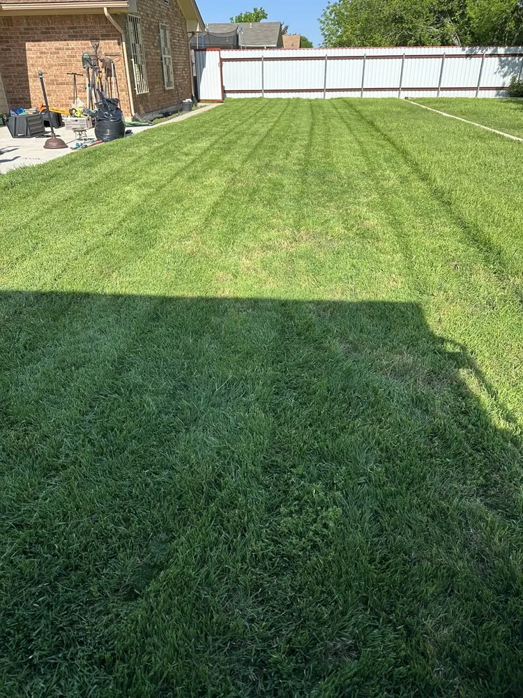 Local landscape installation experts serving Killeen, TX - Roadrunner Landscaping & Contruction