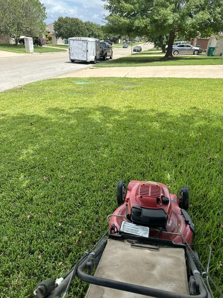 Professional yard maintenance in Killeen, TX - Roadrunner Landscaping & Contruction