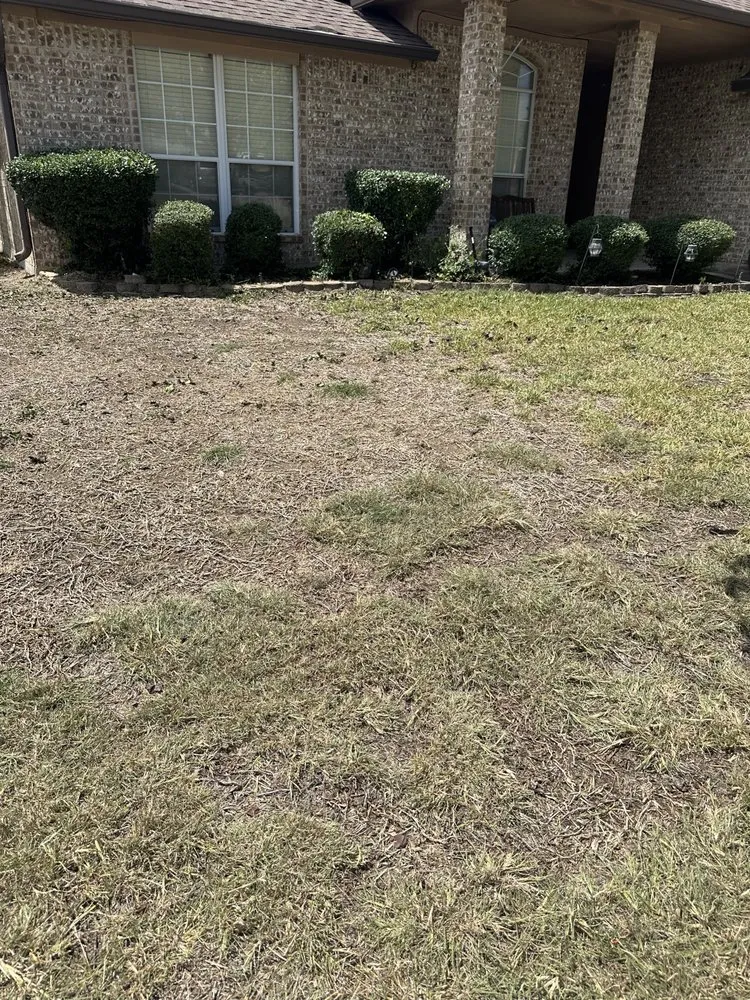 Top-rated lawn mowing service in Killeen, TX by Roadrunner Landscaping & Contruction