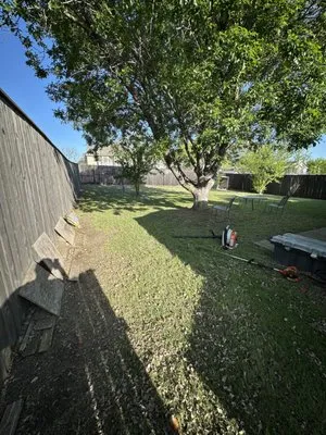 Roadrunner Landscaping & Contruction Logo