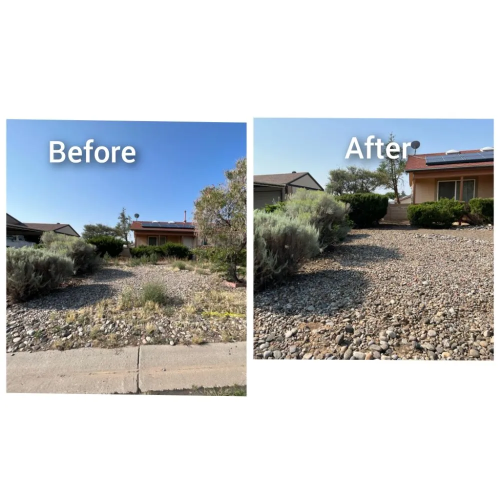 Trusted residential landscaping in Albuquerque, NM by Roadrunner Yard Clean-up And Maintenance Services
