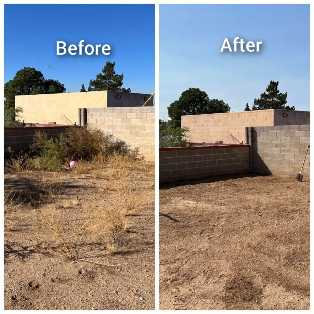 Reliable outdoor landscaping in Albuquerque, NM - Roadrunner Yard Clean-up And Maintenance Services