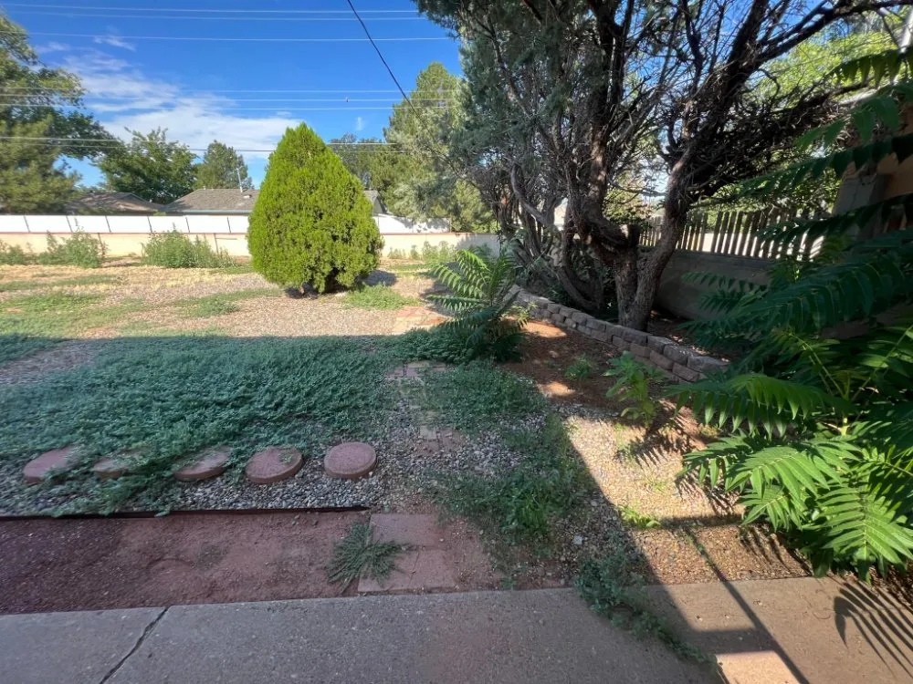 Local lawn mowing service for year-round maintenance across Albuquerque, NM - Roadrunner Yard Clean-up And Maintenance Services