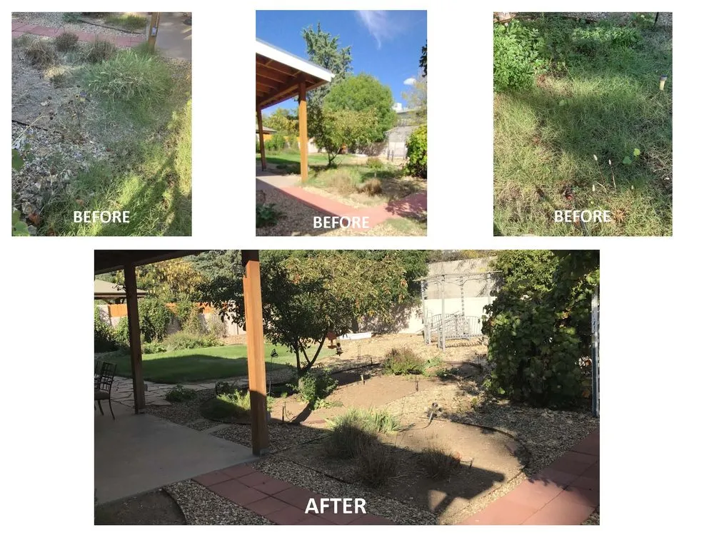 Affordable garden landscaping experts serving Albuquerque, NM - Roadrunner Yard Clean-up And Maintenance Services