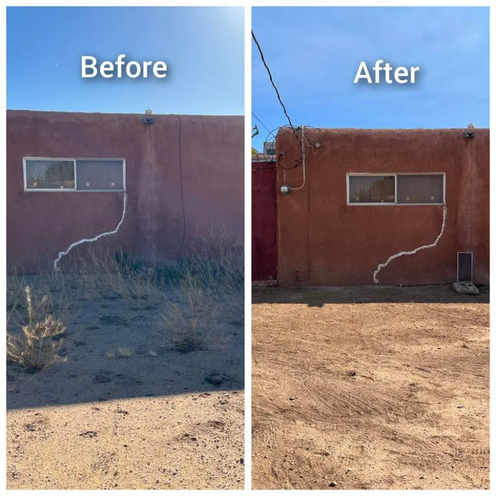 Local outdoor landscaping in Albuquerque, NM - Roadrunner Yard Clean-up And Maintenance Services