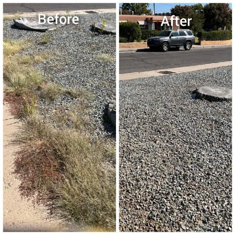 Reliable lawn care service with custom design in Albuquerque, NM by Roadrunner Yard Clean-up And Maintenance Services