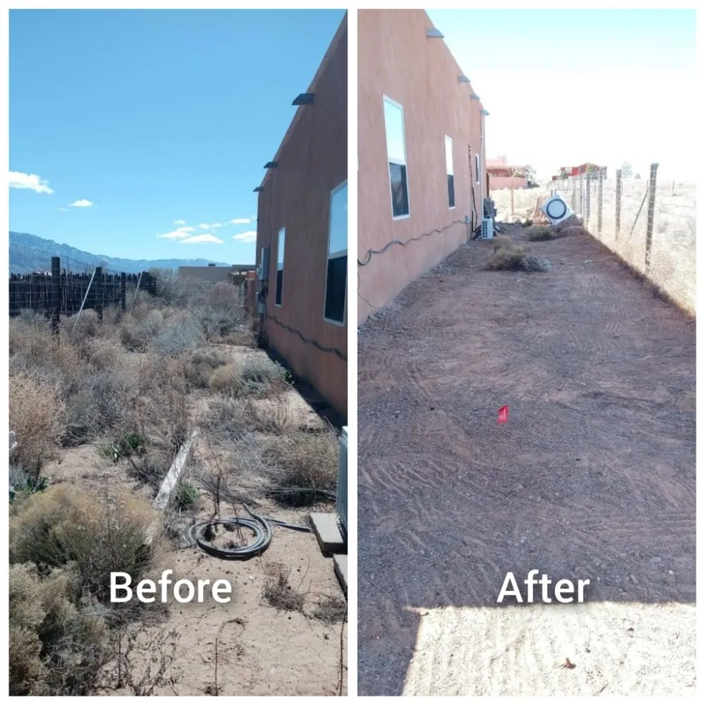 Local yard cleanup service for outdoor upgrades in Albuquerque, NM by Roadrunner Yard Clean-up And Maintenance Services