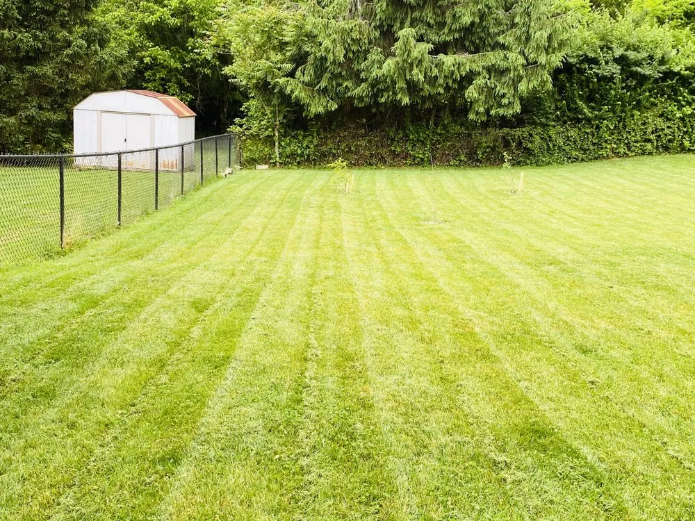 Top-rated yard cleanup service experts serving Roanoke, VA - Roanoke Cuts