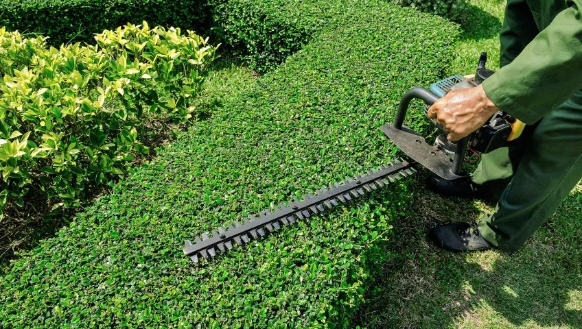 Local outdoor landscaping in Spokane, WA by ROAR Works