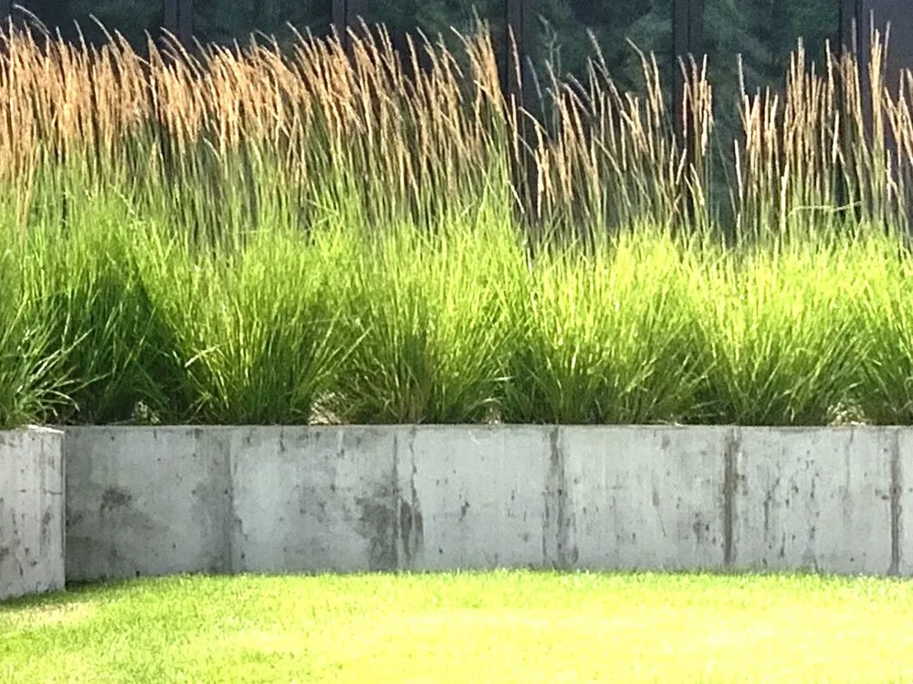 Professional residential landscaping in Carbondale, CO by Roaring Fork Hardscapes