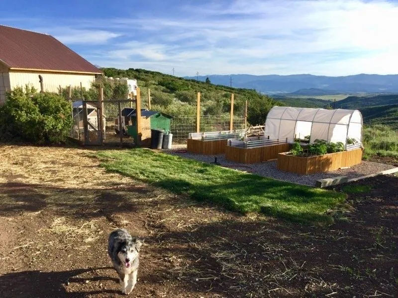 Expert garden landscaping experts serving Carbondale, CO - Roaring Fork Waterworks