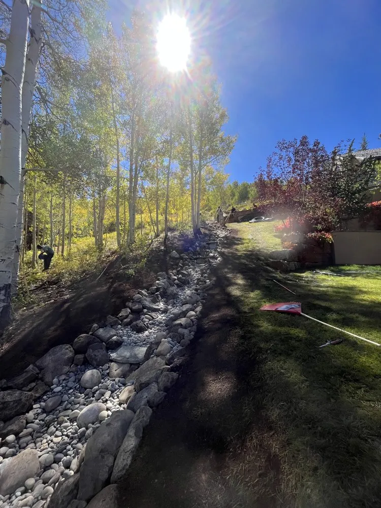 Top-rated yard cleanup service in Carbondale, CO by Roaring Fork Waterworks