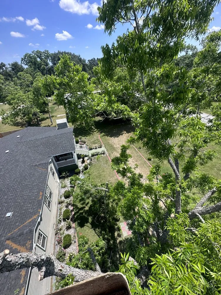 Professional residential landscaping experts serving Valdosta, GA - Roark’s Land Clearing and Restoration