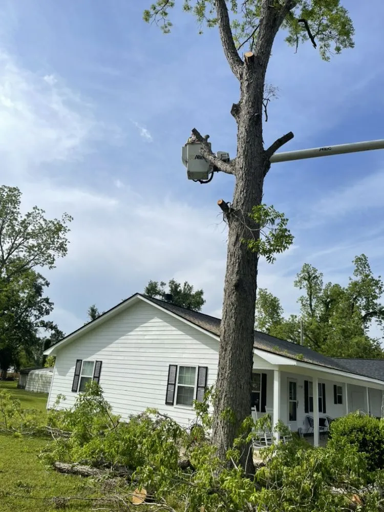 Expert lawn care service for year-round maintenance in Valdosta, GA by Roark’s Land Clearing and Restoration