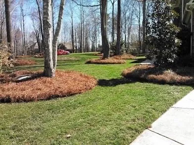 Top-rated outdoor landscaping with custom design across Valdosta, GA - Roark’s Land Clearing and Restoration