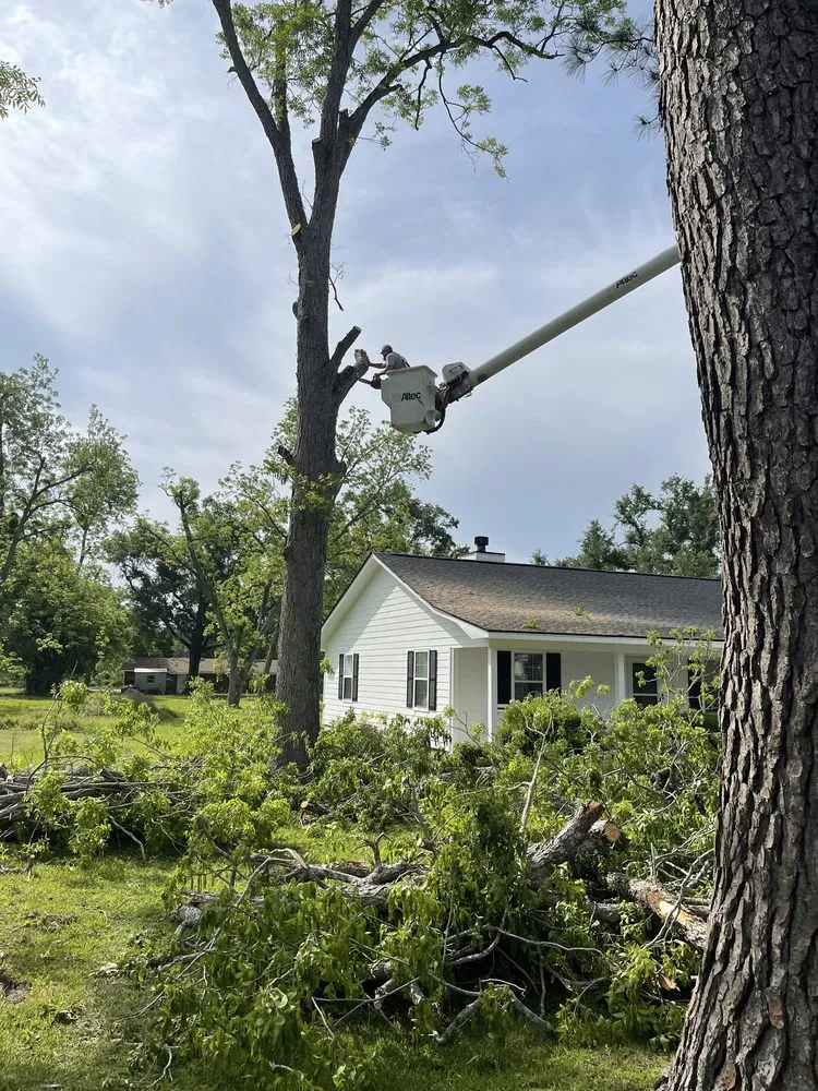 Expert landscape design experts serving Valdosta, GA - Roark’s Land Clearing and Restoration