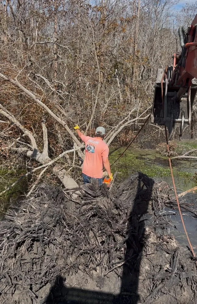 Reliable landscaping services experts serving Valdosta, GA - Roark’s Land Clearing and Restoration