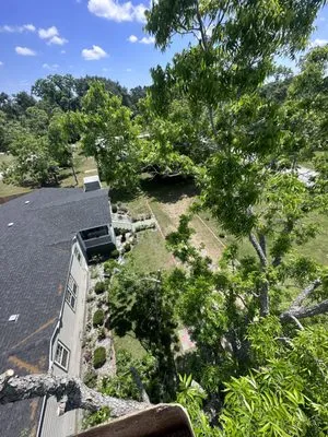 Roark’s Land Clearing and Restoration Logo