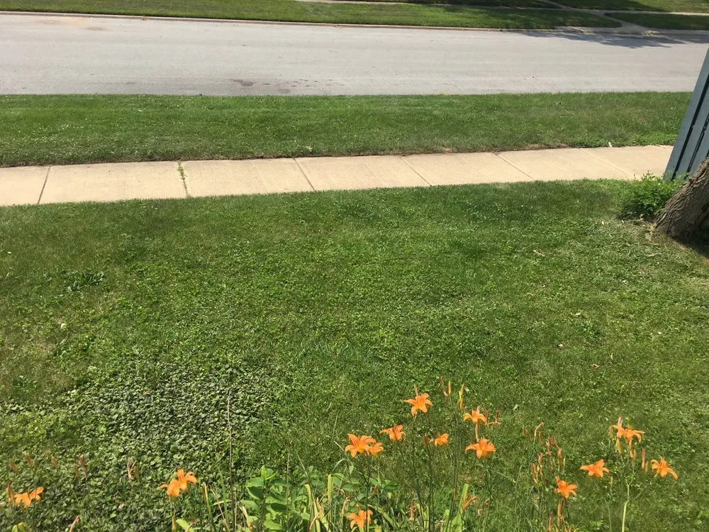 Local lawn mowing service in Calumet City, IL - Roas Lawn Maintenance