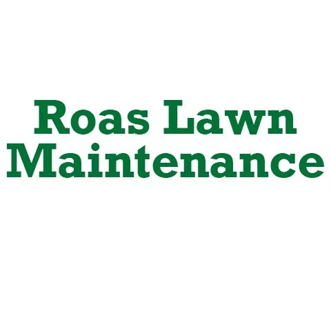 Affordable yard cleanup service in Calumet City, IL - Roas Lawn Maintenance