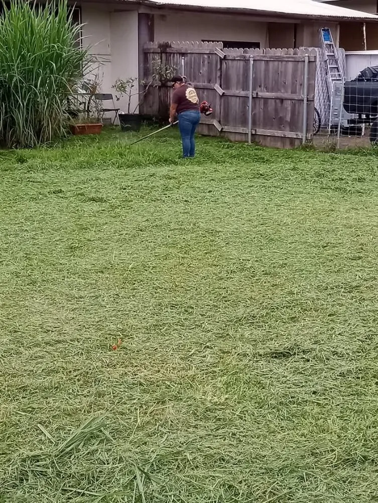 Reliable yard cleanup service for residential properties across Kurtistown, HI - Rob & Sons