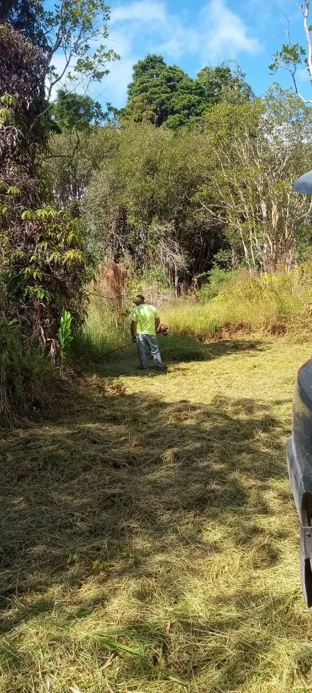 Reliable garden landscaping experts serving Kurtistown, HI - Rob & Sons